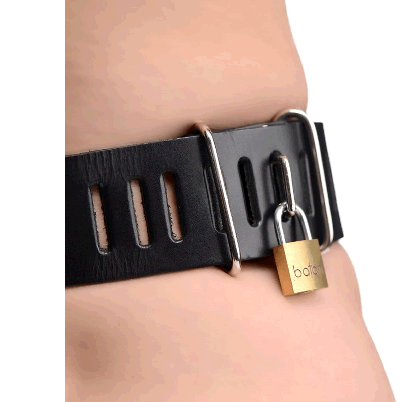 Deluxe Locking Chastity Belt Tickled Kink Shopping Center